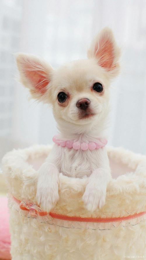 ֯ȫۼ¹ȷﲡ79673754